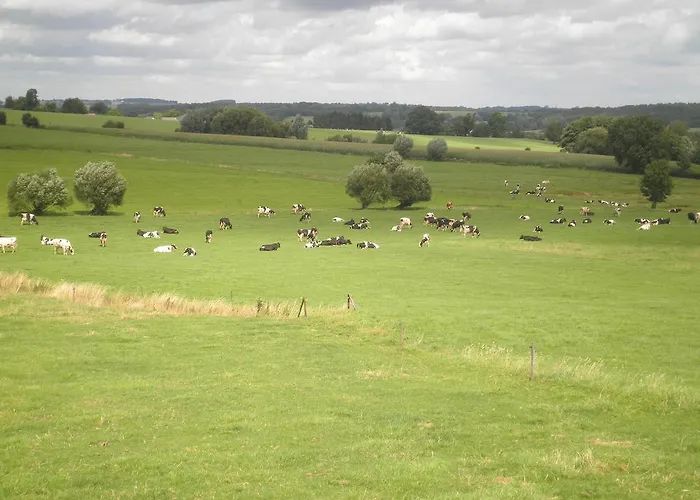 Oda ve Kahvaltı Einrade 3*